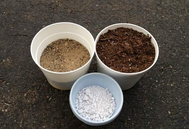 ترکیب خاک مناسب برای ساکولنت ها