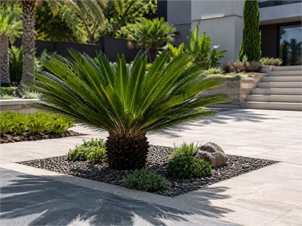 کاربرد سیکاس در طراحی منظر و محوطه‌سازی