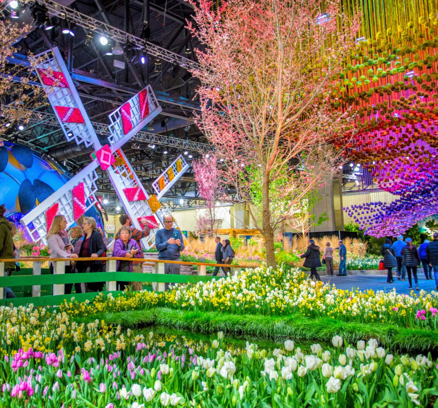 نمایشگاه های آجیل، خشکبار و مغزهای گیاهی