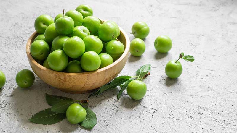 خرید نهال گوجه سبز | قیمت نهال آلوچه