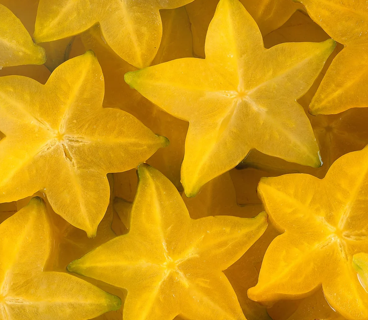Star Fruit Seedling (Averrhoa carambola)