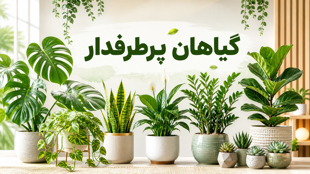 گیاهان پرطرفدار