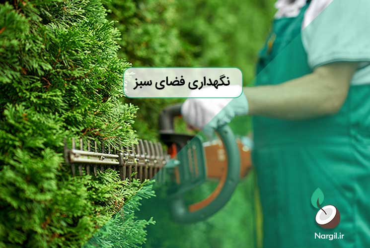 نگهداری فضای سبز