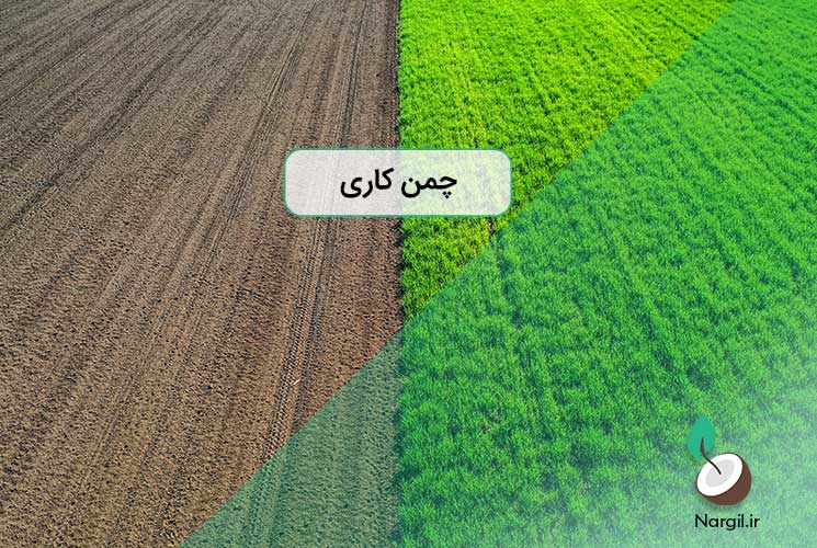چمن کاری