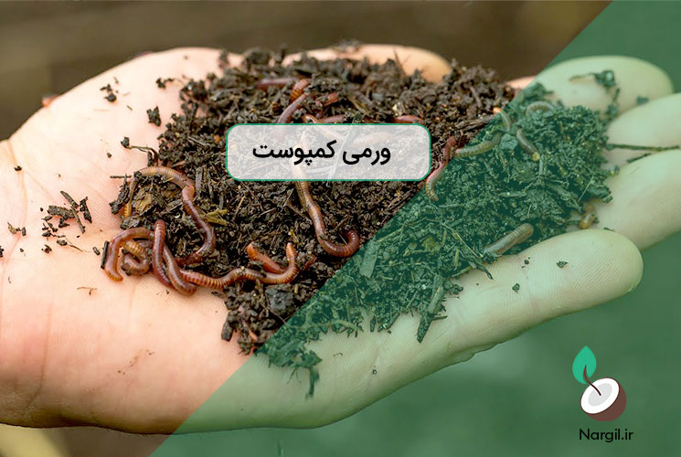 ورمی کمپوست