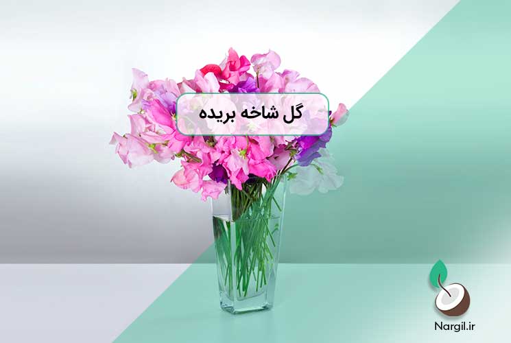 گل شاخه بریده