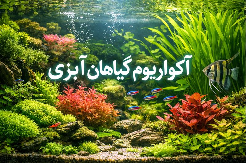 آکواریوم و محصولات مرتبط