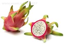 فروش گیاهان خاص و کمیاب