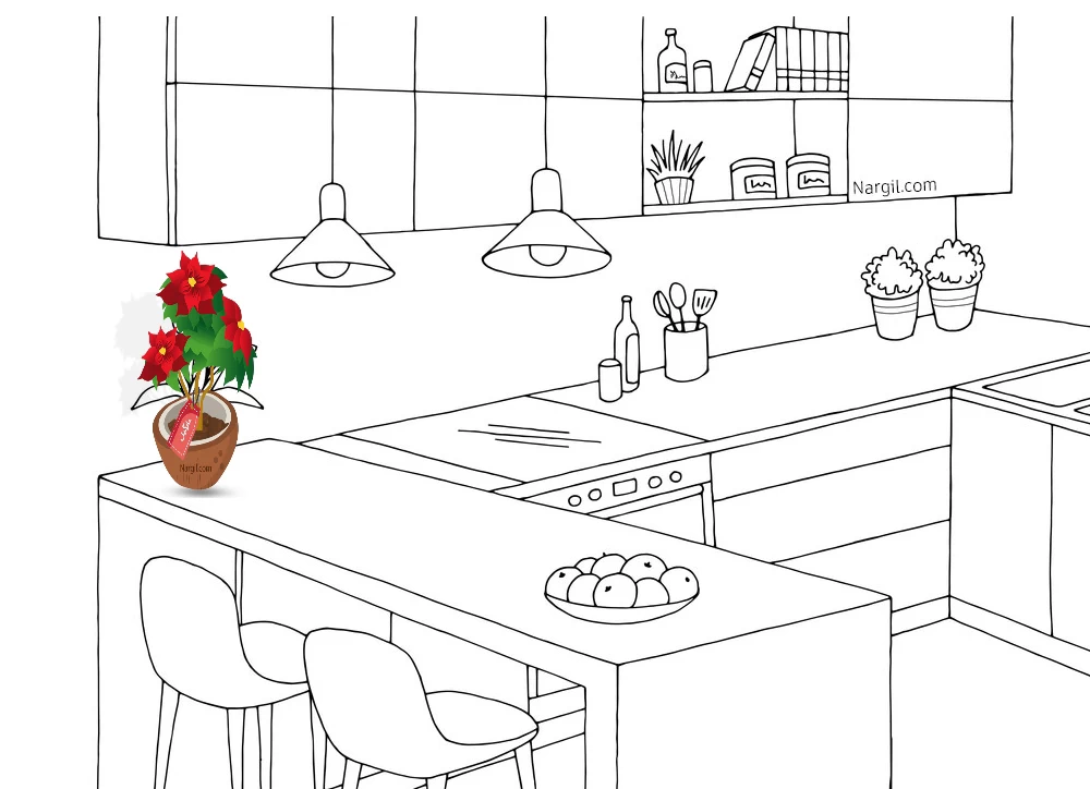 تجسم سازی گلدان بنت قنسول روی اوپن آشپزخانه 