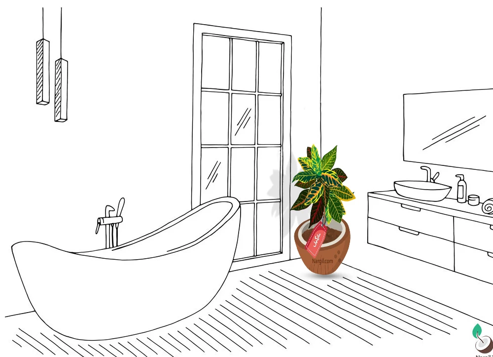 جانمایی گلدان زیبای کروتون پترا در حمام کنار وان 
