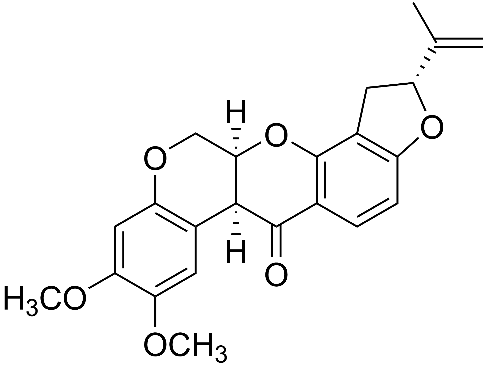 روتنون