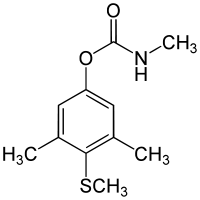 متیو کارب ( مزورل )