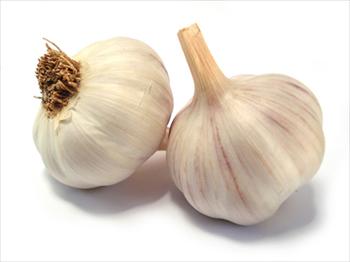 گیاه سیر و خواص درمانی آن جهت چاقی و رفع بیماری