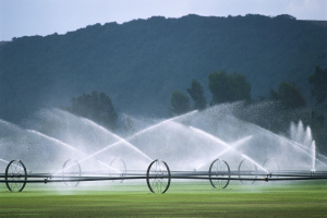 آبیاری بارانی