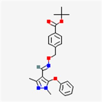 فن پیروکسی میت ( اورتوس )
