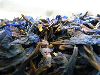 گیاه گل گاو زبان