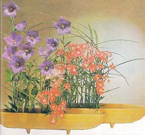 گل آرایی ژاپنی 
