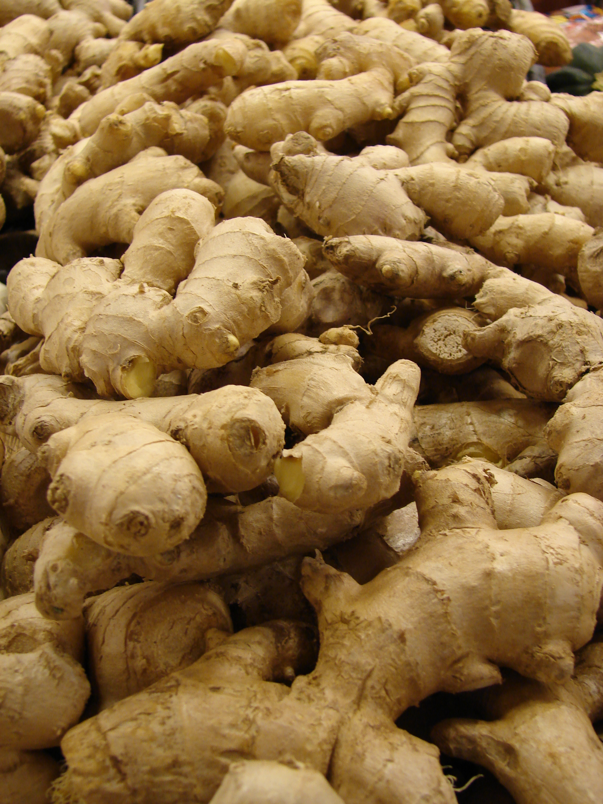 گیاهان تیره (خانواده)  زنجبیل - Zingiberaceae