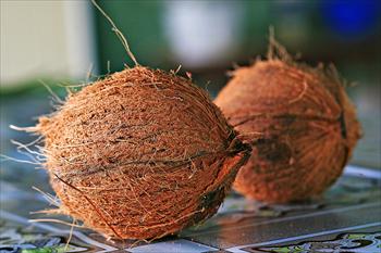 خواص میوه نارگیل