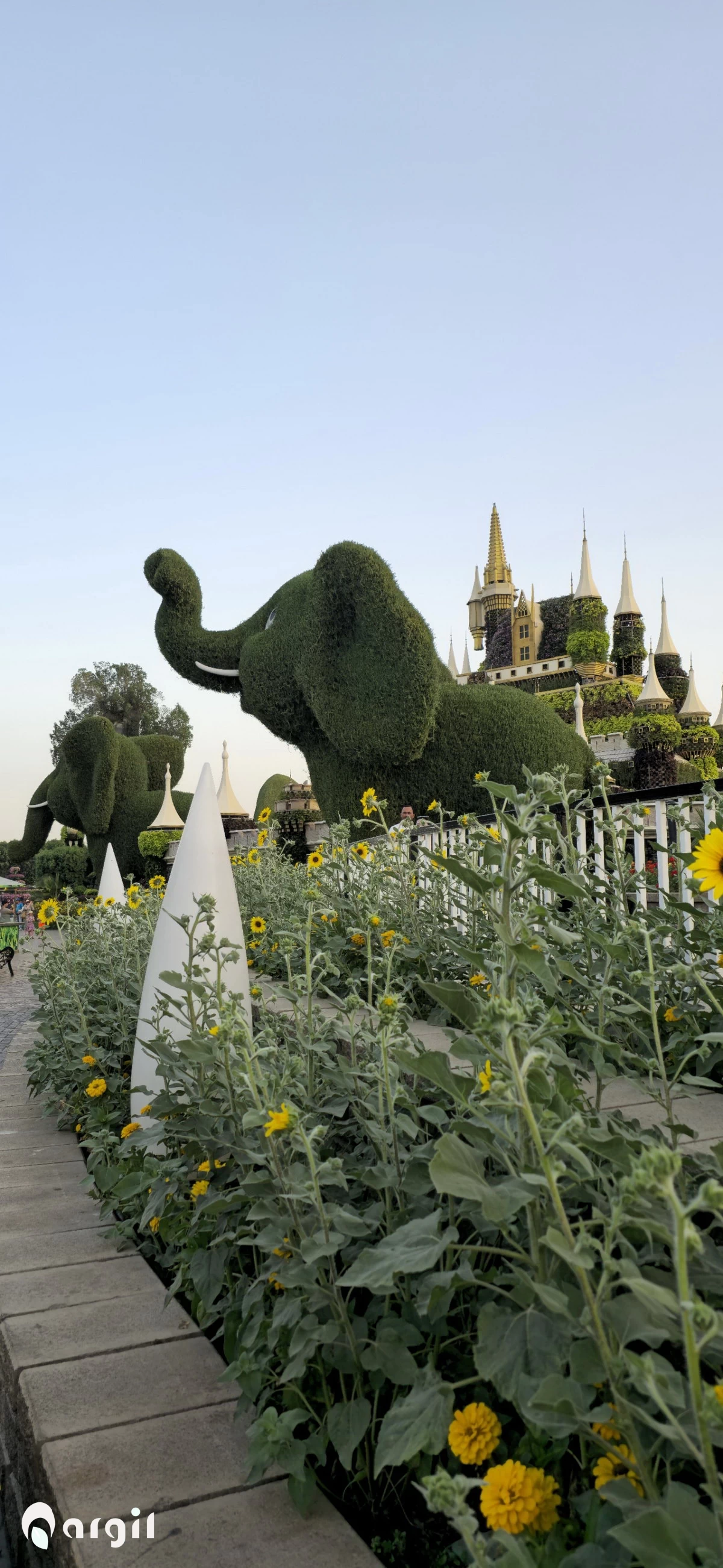 MiracleGarden Photo-By Nargil 