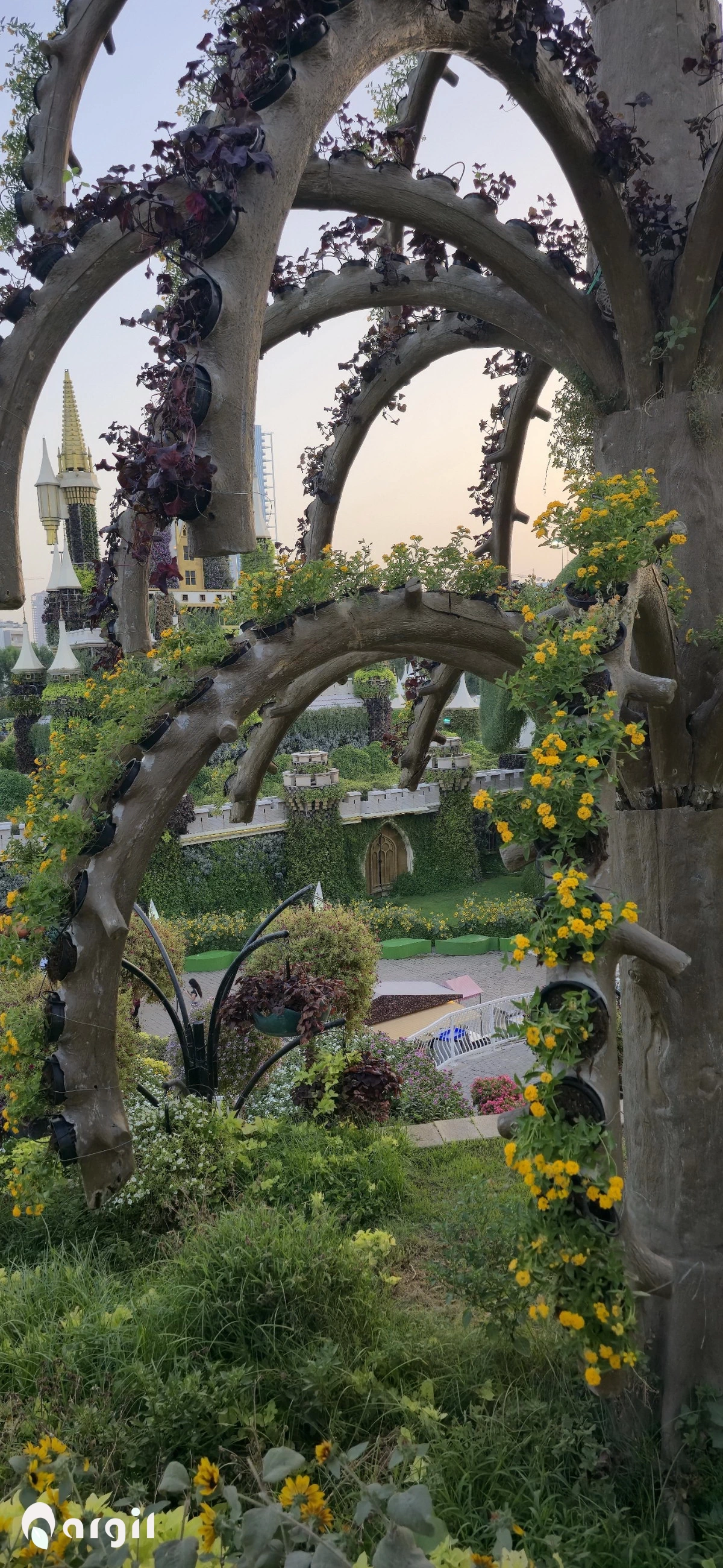 MiracleGarden Photo-By Nargil 