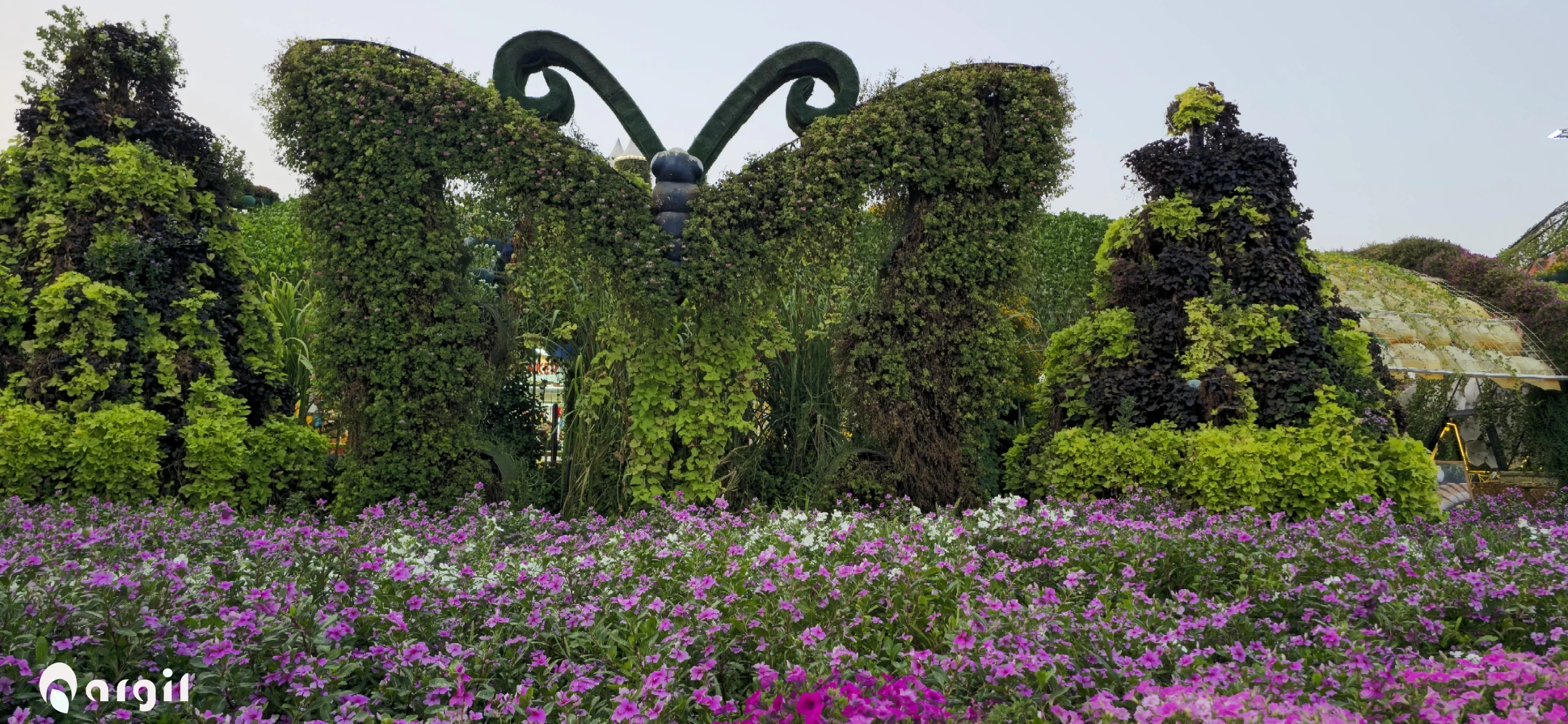 MiracleGarden Photo-By Nargil Butterfly