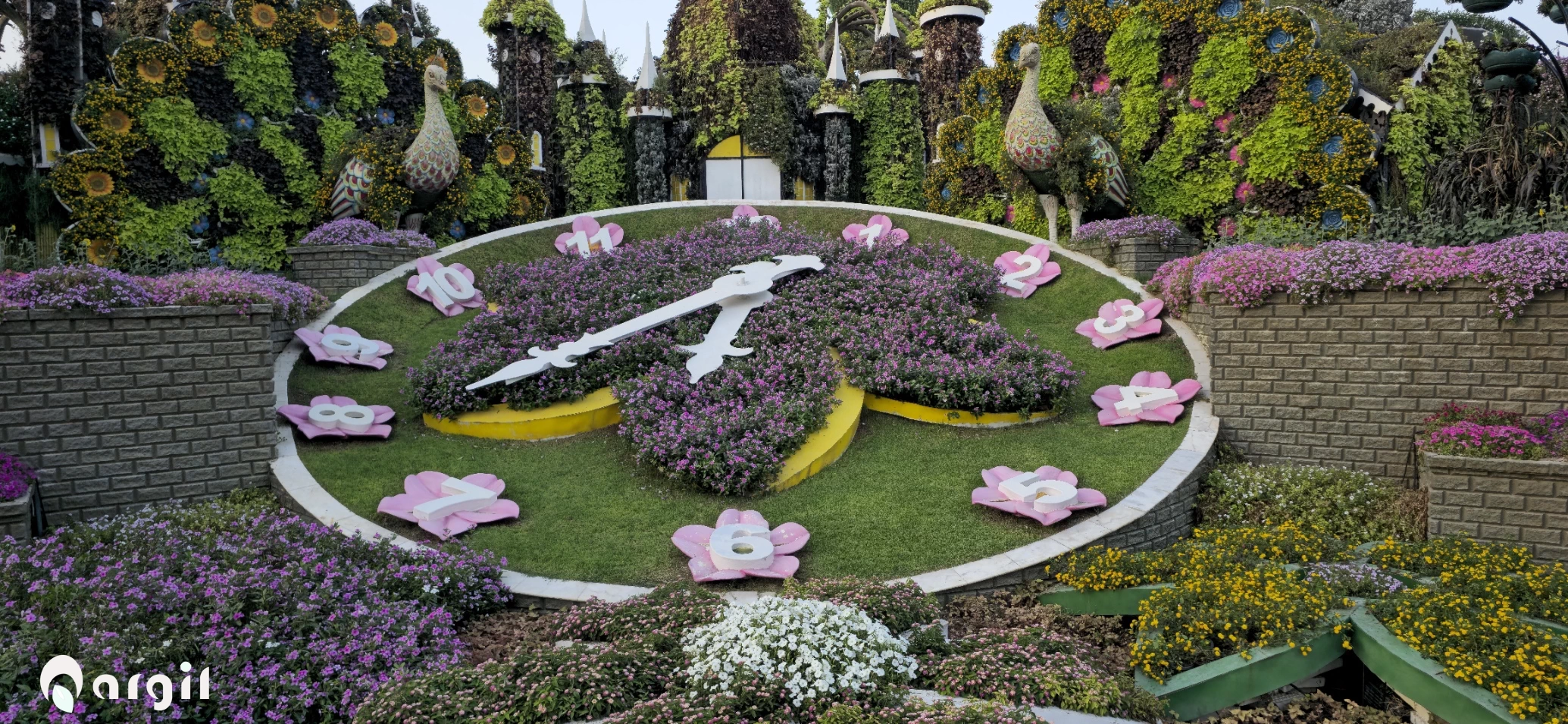 MiracleGarden Photo-By Nargil Clock