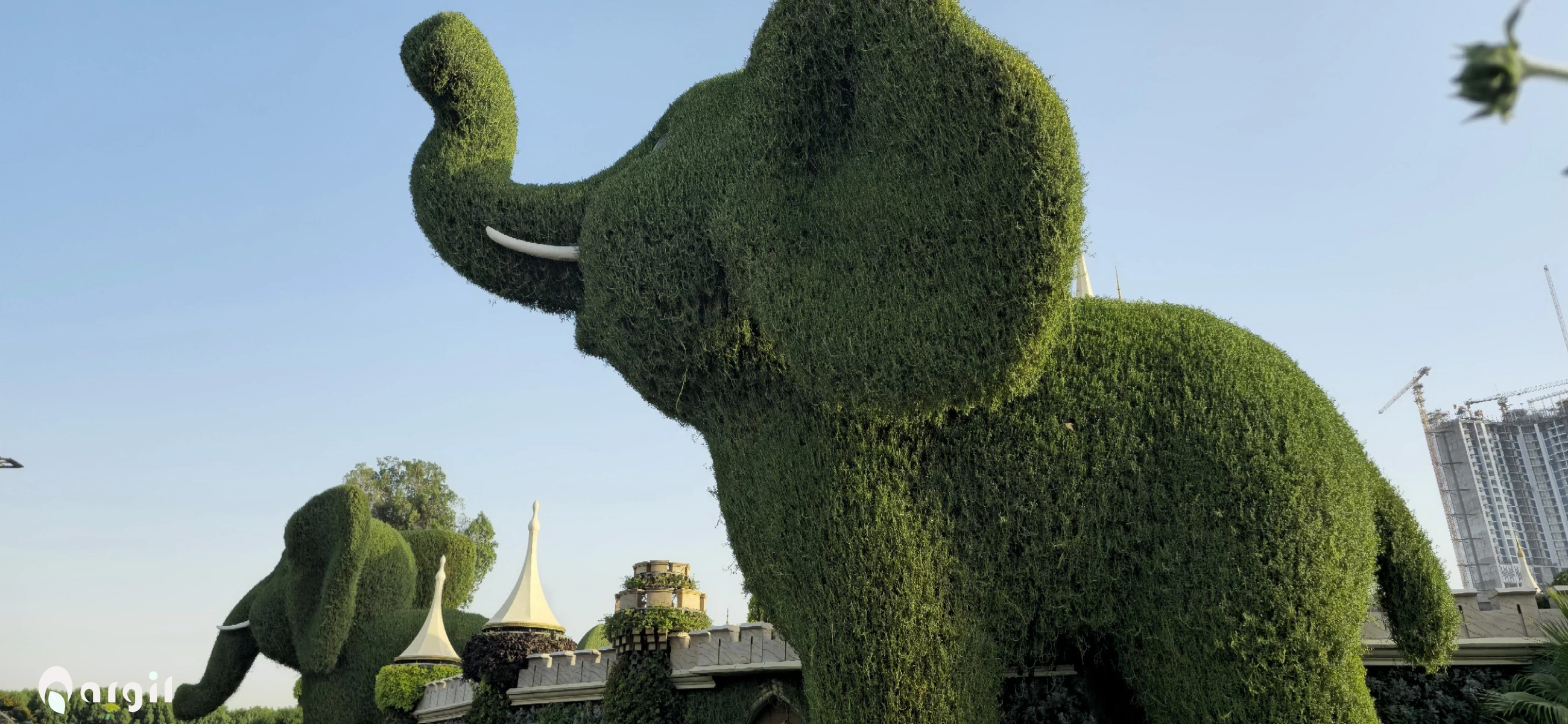 MiracleGarden Photo-By Nargil Elephant 