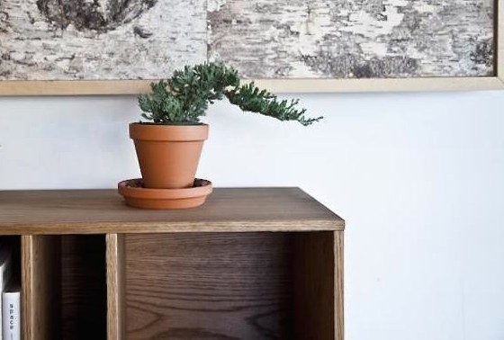 گلدانتان را گهگاهی بچرخانید