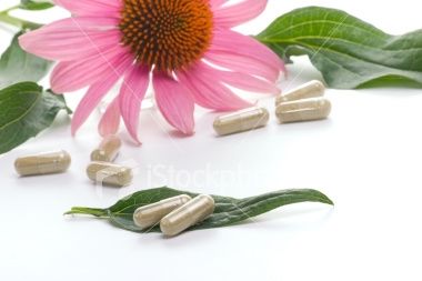 اکیناسه (Echinacea purpurea L.)، گیاه دارویی مناسب جهت کشت در فضای سبز شهری