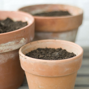 انتخاب بهترین خاک برای گلدان