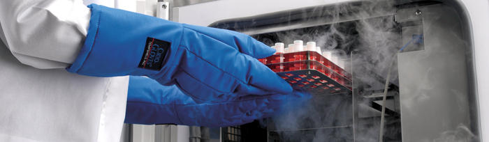 ذخیره سازی بلند مدت نمونه گیاهی در کشت بافت