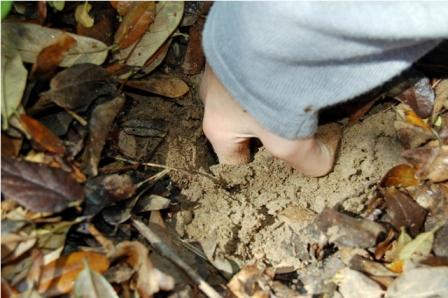 چگونه رطوبت خاک گلدان یا باغچه را اندازه بگیریم 