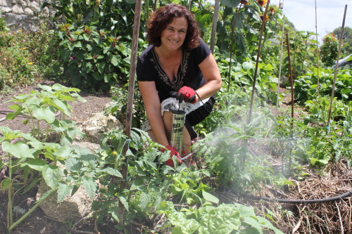 روشهای طبیعی کنترل آفت: با خاک دیاتومه ح...