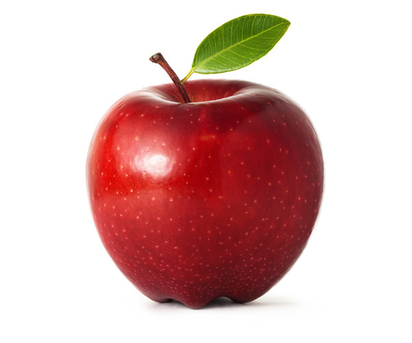 با انواع گوناگون درخت سیب آشنا شوید