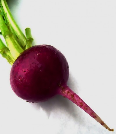 beet