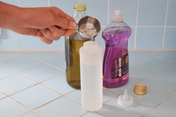 کنترل آفت: با آفت ‌کشهای ارگانیک خانگی با آفات مقابله کنید