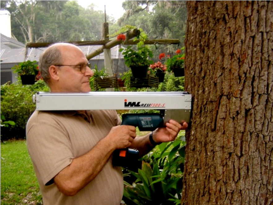 مقاومت سنج یا رزیستوگراف برای تشخیص پوسیدگی و حفرات داخل درختان 