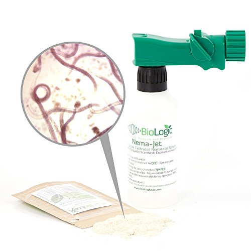 کنترل آفت: از نماتودها برای مقابله با آفت بهره ببرید 