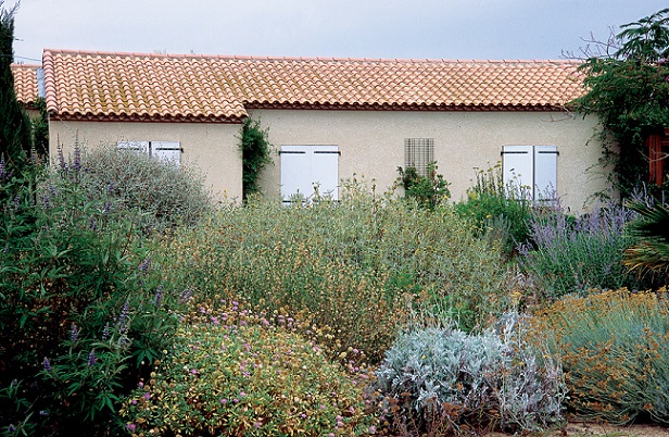 روشهای کاهش تنش گرمایی تابستان بر گیاهان 