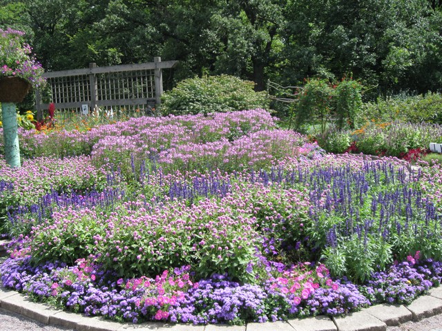 کاشت گیاهان کم آلرژی زا