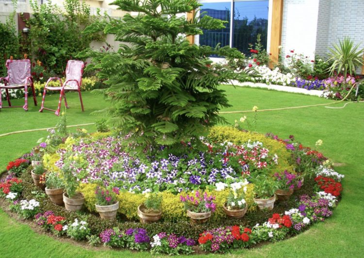 گل کاری با گل های یکساله و دوساله