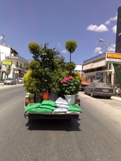 زمان و روش جا به جایی و انتقال گیاهان کاشته شده در باغچه 