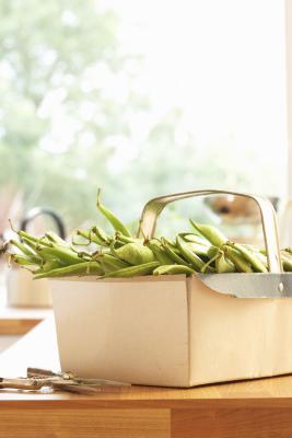 گیاه لوبیا به چه مواد مغذی نیاز دارد؟