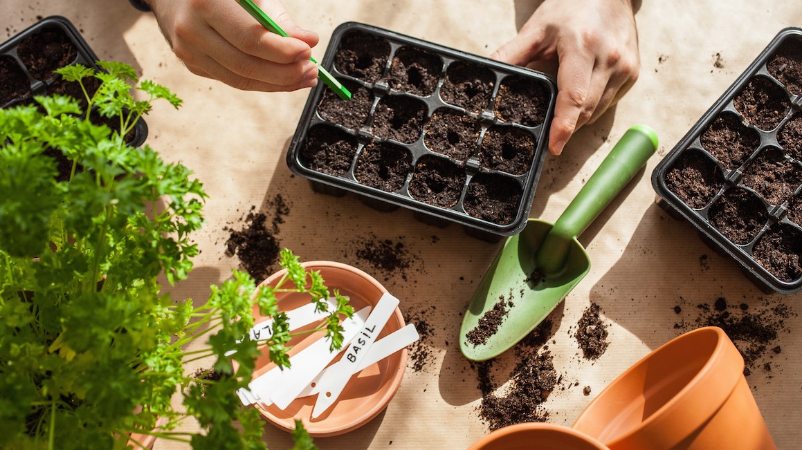 مطالعه در کتاب ها یا سایت های تخصصی