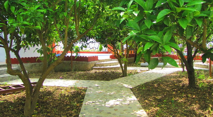 طراحی فضای سبز با رویکرد استفاده از مرکبات زینتی