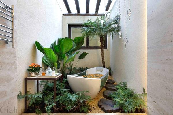 گیاهان مناسب برای حمام