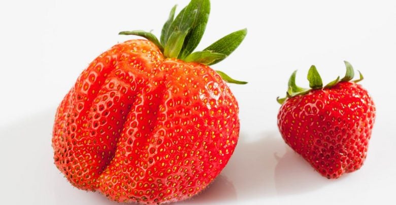 عکس العمل گیاهان در برابر شرایط محیط (خواص ژنتیکی، جهش ها و پلی پلوییدی)