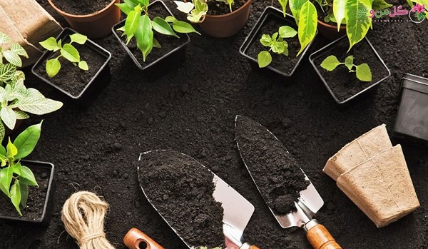 خاک بستر کشت گل ها 