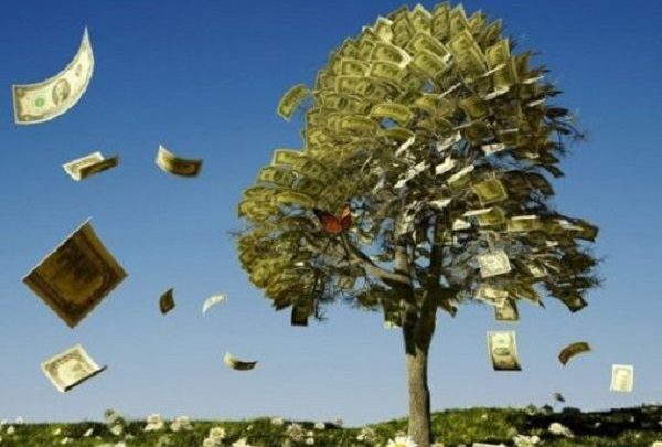 درخت پول